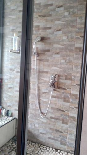 a shower with a hose in a bathroom at Goggas Nest BNB & Restaurant in Matsapha