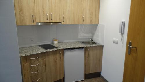 Kuchyň nebo kuchyňský kout v ubytování Apartamentos Turísticos Teruel