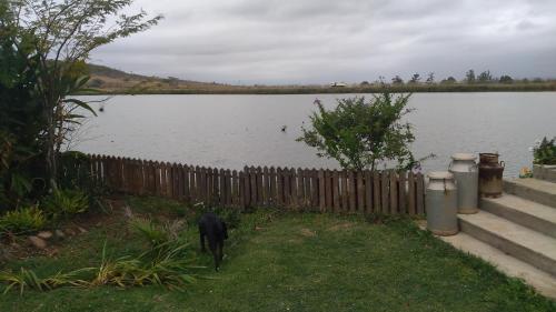 a black dog walking by a fence next to a lake at Goggas Nest BNB & Restaurant in Matsapha