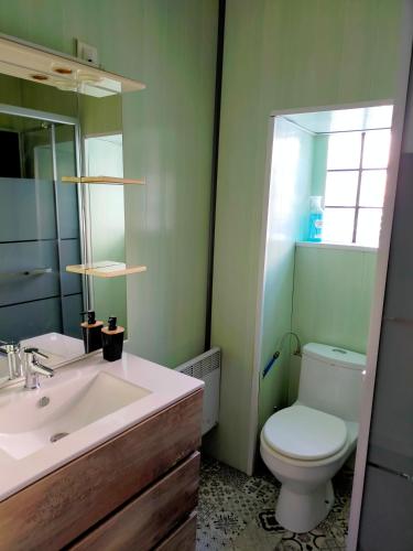 a bathroom with a sink and a toilet and a mirror at L'éléphant Blanc de ConcarnOLoc in Concarneau