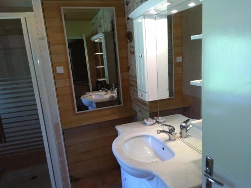 y baño con lavabo y espejo. en Le POULAILLER, en Mareuil-sur-Lay