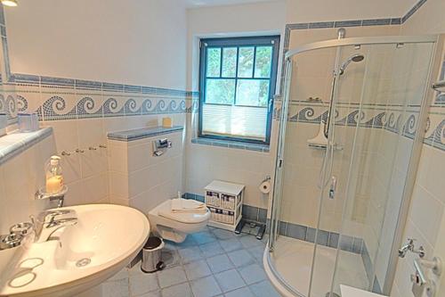 a bathroom with a shower and a sink and a toilet at Villa Birkenboom, FW 1 in Zingst