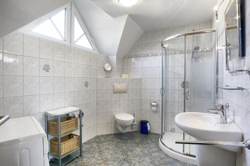 a bathroom with a toilet and a sink and a shower at Nele, Whg 3 in Zingst