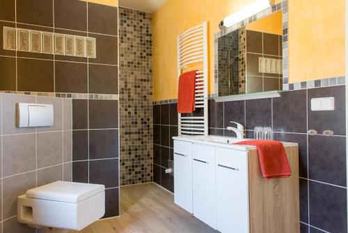 La salle de bains est pourvue de toilettes, d'un lavabo et d'un miroir. dans l'établissement Ferienwohnung am Mühlenberg, à Waren