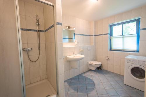 a bathroom with a shower toilet and a sink at Ostseebrise Reetdach 2 in Zingst
