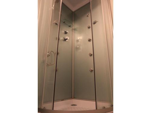a shower with glass doors in a bathroom at Bed & Breakfast Penzion Brno in Brno