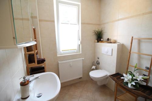 奧茨塞巴德·迪爾哈根的住宿－Darssurlaub App 5，一间带水槽和卫生间的浴室以及窗户。