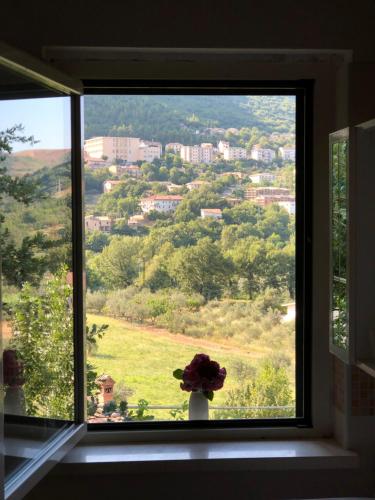 a window with a flower in a vase on a window sill at B&B La Casetta in Villa Santa Maria