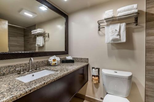 a bathroom with a toilet and a sink and a mirror at Best Western Plus South Bay Hotel in Lawndale