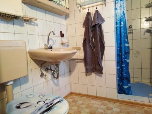 ein Bad mit einem Waschbecken und einem WC in der Unterkunft Ferienhaus Kaiserfelder in Olbersdorf