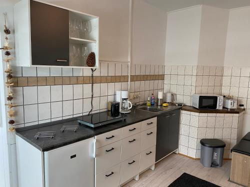 a kitchen with a sink and a microwave at Ferienwohnung Eichhörnchen in Suhl