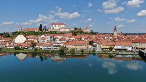 een uitzicht op een stad met een grote hoeveelheid water bij Guesthouse Pri Tonetu in Ptuj