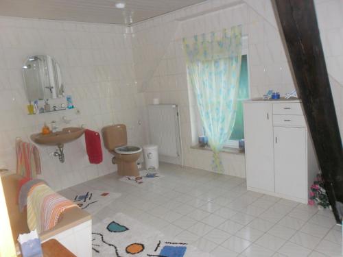 ein Badezimmer mit einem Waschbecken, einem WC und einem Spiegel in der Unterkunft Einzelzimmer 3 Gotthard in Hanerau-Hademarschen
