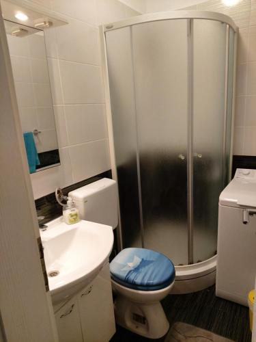 La salle de bains est pourvue d'une douche, de toilettes et d'un lavabo. dans l'établissement Apartman Dalmatino, à Sutivan