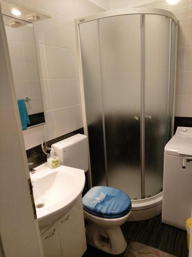 Koupelna v ubytování Apartman Dalmatino