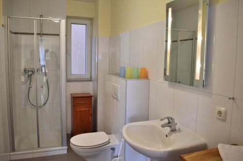 uma casa de banho com um WC, um lavatório e um chuveiro em Fehmarnstrand 78 App 14 em Staberdorf