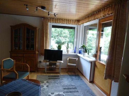 salon z telewizorem i 2 oknami w obiekcie Hasenecke w mieście Bad Salzungen