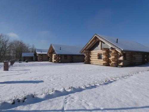 a log cabin in the snow at Naturstammhaus Tollensesee in Krickow