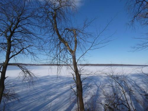 a view of a snow covered field with trees at Naturstammhaus Tollensesee in Krickow