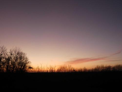 a sunset in a field with trees in the foreground at Naturstammhaus Tollensesee in Krickow