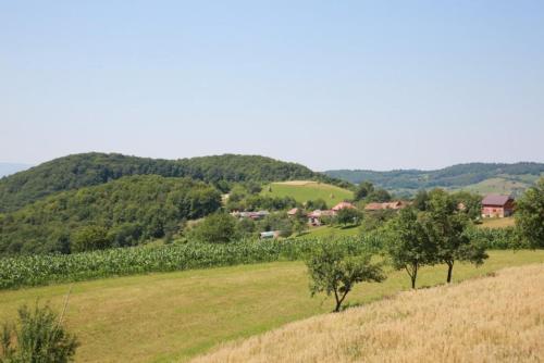 un campo de hierba con árboles a lo lejos en Pensiunea Rosia, en Roşia