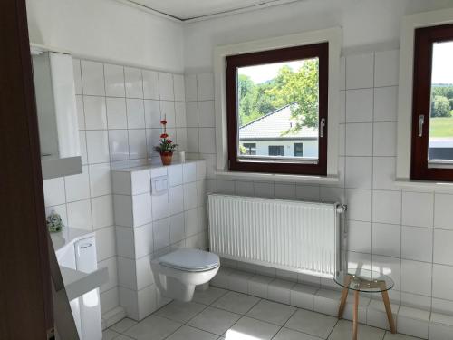 een witte badkamer met een toilet en een raam bij Haus Carlotta in Wolfshagen