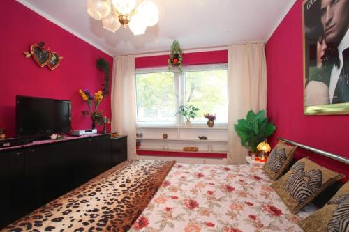 a bedroom with pink walls and a bed and a television at Private Rooms in Hannover