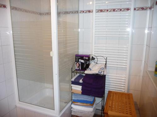 a bathroom with a shower and a rack of towels at Ferienwohnung PANTEN in Neukirchen