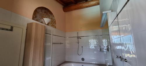a bathroom with a shower and a sink at Casa Romantica in Colico