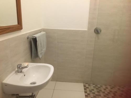y baño con lavabo y ducha. en Waverley Guest House, en Johannesburgo