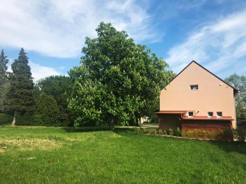 a house on a green field with a tree at Prána Apartman in Herend