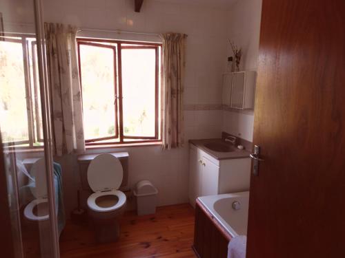 a bathroom with a toilet and a sink at Ashanti House - Living The Breede in Malgas