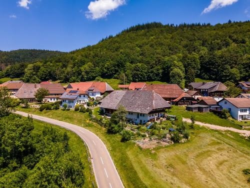 eine Luftansicht eines Heims in einem Berg in der Unterkunft Ferienwohnung Belchenliebe in Schönenberg