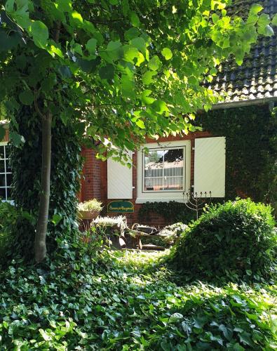 uma casa com uma janela e alguns arbustos em Haus "Asgard" em Brinjahe