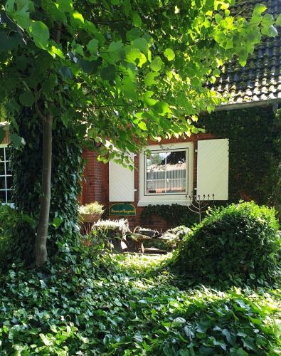 ein Haus mit einem Fenster und einigen Büschen in der Unterkunft Haus "Asgard" in Brinjahe