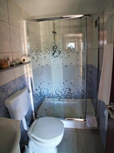 a bathroom with a shower with a toilet and a tub at Casa do Avô in Vasco Esteves de Baixo