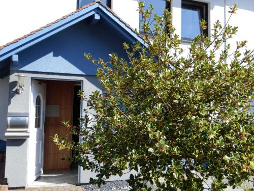 a blue house with a tree in front of it at Zum Roemernest in Würzberg