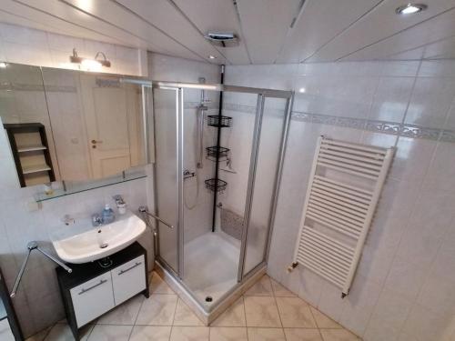 W łazience znajduje się prysznic i umywalka. w obiekcie Ferienhaus Ostwald w mieście Deutscheinsiedel