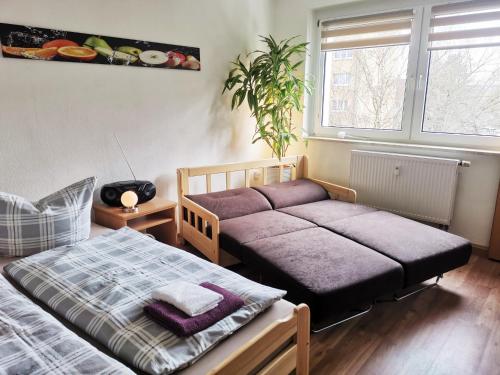 a bedroom with a twin bed and a window at Ferienwohnung Kaltschmidt in Radebeul