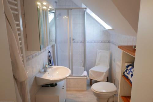 een badkamer met een wastafel, een toilet en een douche bij FöhrTraum in Oldsum