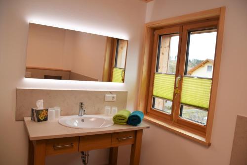 uma casa de banho com um lavatório e um espelho em Naturhaus Altmuehltal em Titting