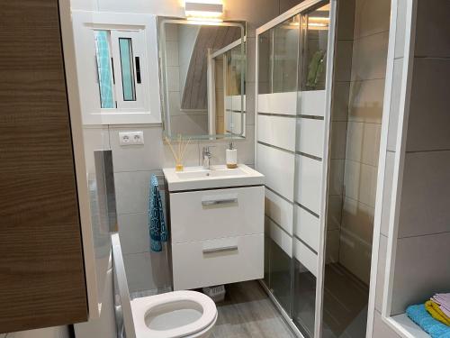 een badkamer met een toilet, een wastafel en een spiegel bij Lleida 25, casa de poble a planta baixa amb àmplia terrassa equipada in Sant Carles de la Ràpita