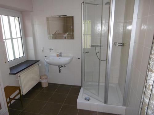 a bathroom with a shower and a sink at Ferienhaus Landhaus am Bach in Winterberg