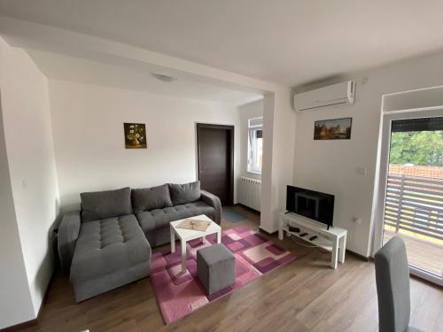 sala de estar con sofá y TV en Dom apartmani en Kragujevac