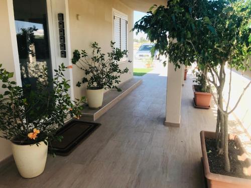 a hallway with potted trees and plants in pots at La cittadella rooms in Monserrato