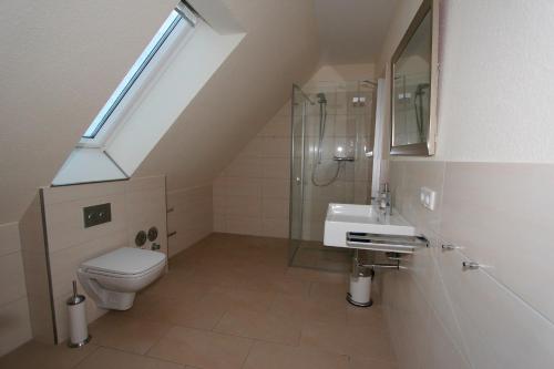 Haby的住宿－Herrmannshof Haby App 4 Noor，浴室配有卫生间、淋浴和盥洗盆。