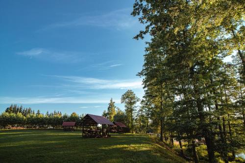 a picnic area with a gazebo in a park at Vėjo Malūnų sodyba - vila in Paserninkai