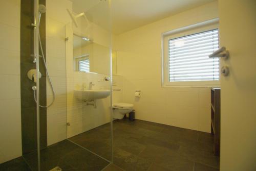 a bathroom with a shower and a sink and a toilet at Lindau in Bettnau