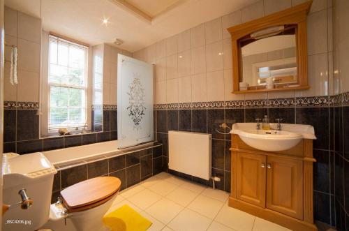a bathroom with a sink and a toilet and a mirror at Ravenscliffe Lodge in Douglas
