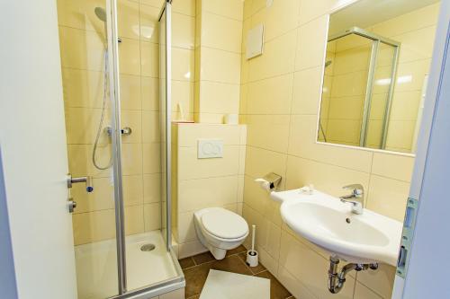 La salle de bains est pourvue d'une douche, de toilettes et d'un lavabo. dans l'établissement Soldanella 3 by Alpenidyll Apartments, à Ramsau am Dachstein